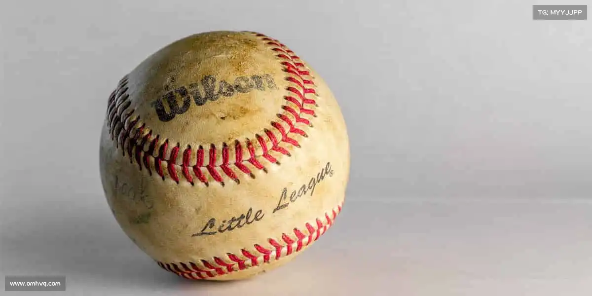 行业领先的理由